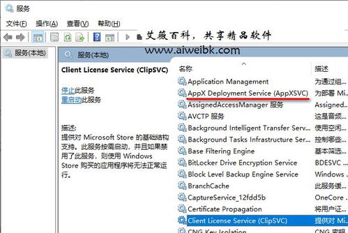 組件服務計算機卡死？解析wsappx進程占用系統(tǒng)資源過多導致電腦卡死的解決方法