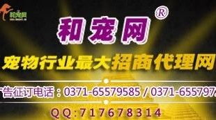 寵物食品行業(yè)新浪潮 線上招商代理與網(wǎng)絡銷售一體化趨勢探析